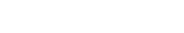 NitroEx Logo