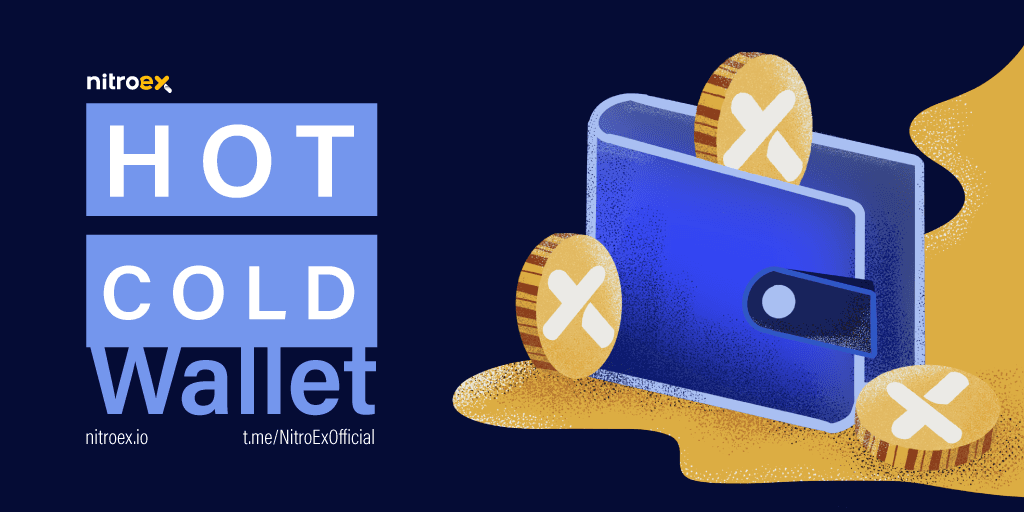 What is Crypto Wallet? | Hot & Cold Wallets