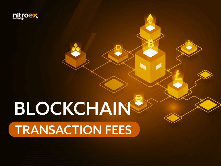 Blockchain Transaction Fees
